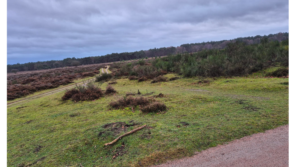 Verdwenen bankjes op de heide zijn niet weg