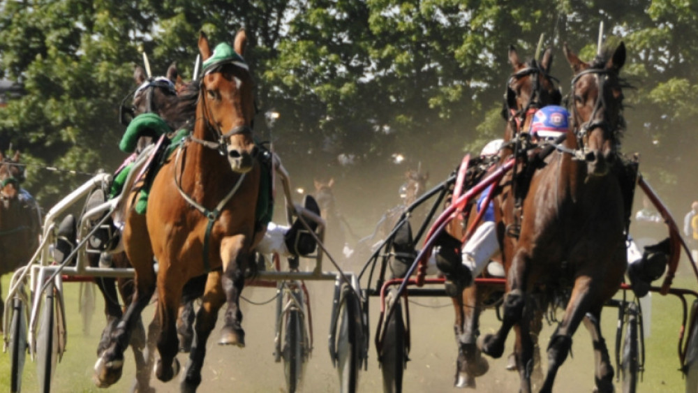 Hilversumse paardenraces zouden 'ernstig dierenleed' zijn, evenement voldoet aan regels