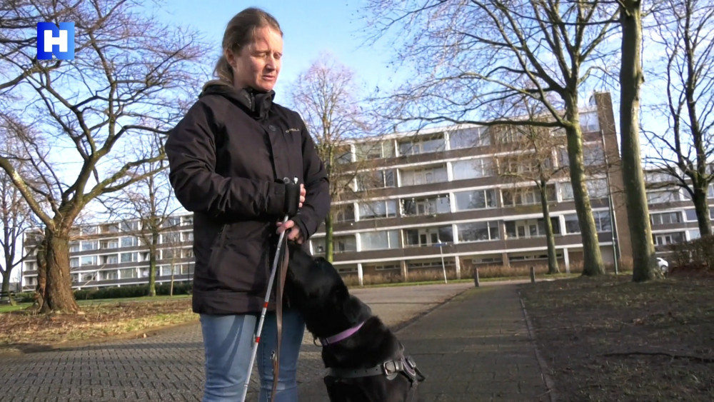 Puppy-pleeggezin uit Hilversum: 'Het is &eacute;&eacute;n dag huilen, tegenover een jaar lang plezier'