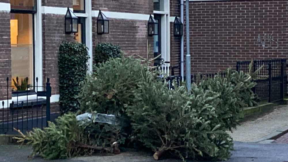 Hilversums SP stelt raadsvragen over kerstbomenpilot GAD