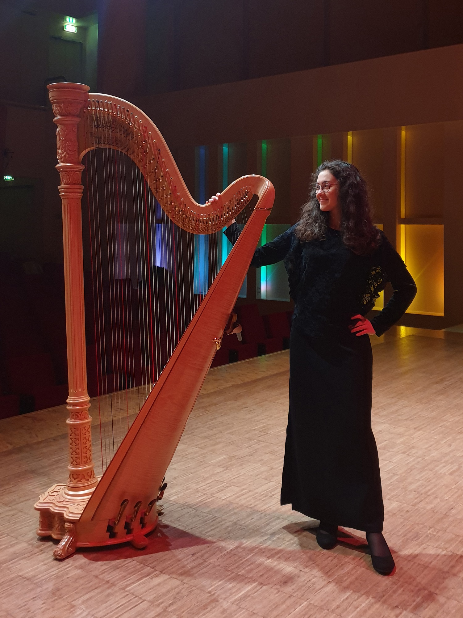 Marlies de Lange met harp. Foto: Inge van Grinsven
