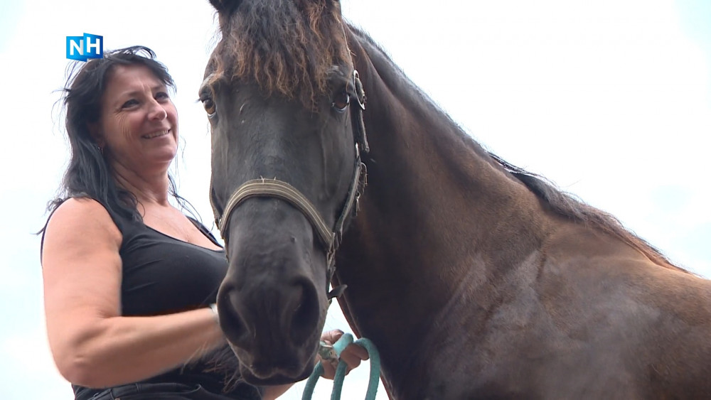 Paard Ymke herstelt na helse redding uit sloot: 'zeven uur in brandende zon'