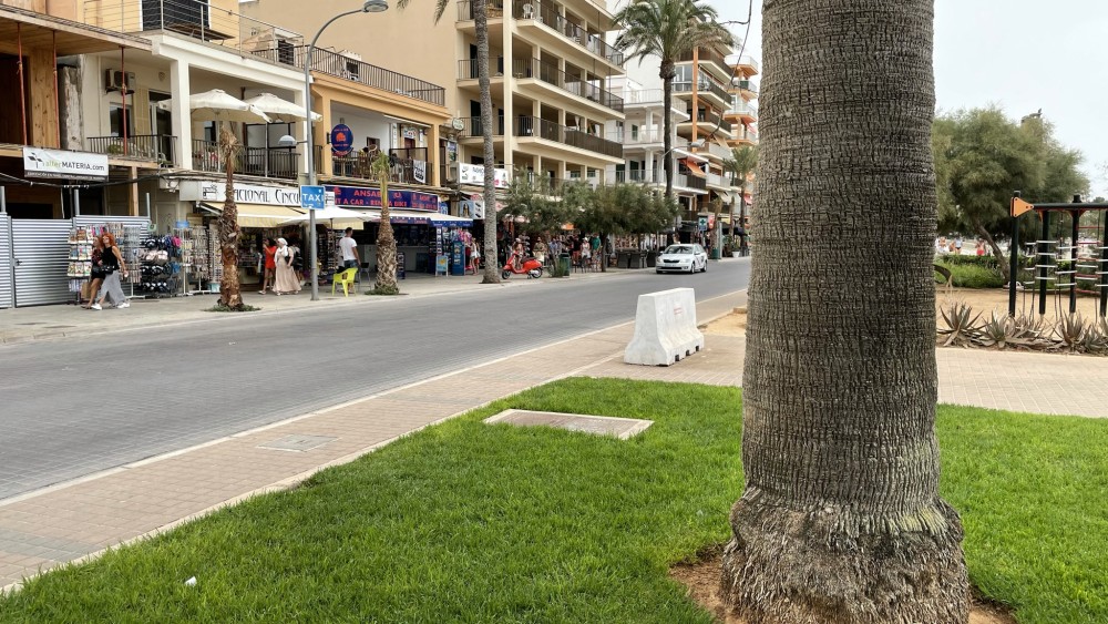 Slachtoffer fatale mishandeling Mallorca wilde ruzie sussen