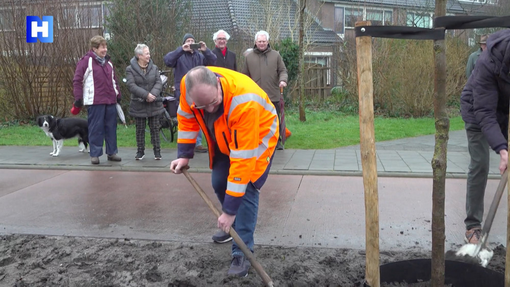 Na bijna 50 jaar plant Roel weer een boom voor 50-jarige Hilversumse Meent