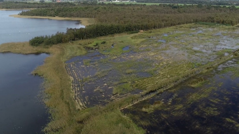 Naardermeer wordt gered van droogte: &quot;We geven purperreiger nog een kans&quot;