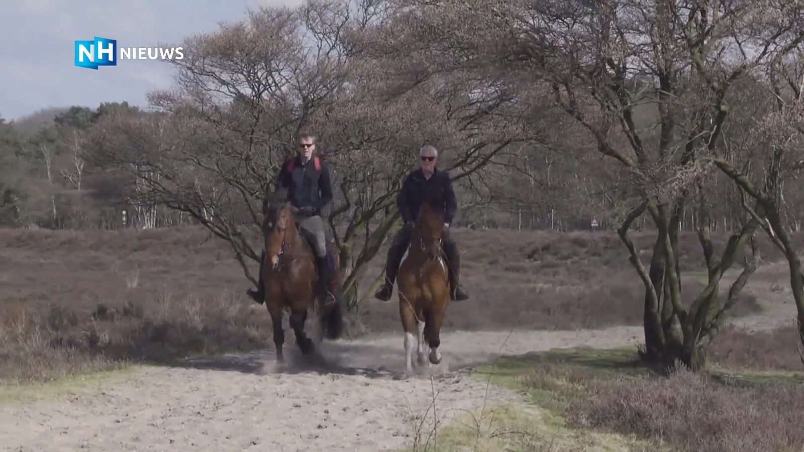 In beeld: Drukte op de Zuiderheide