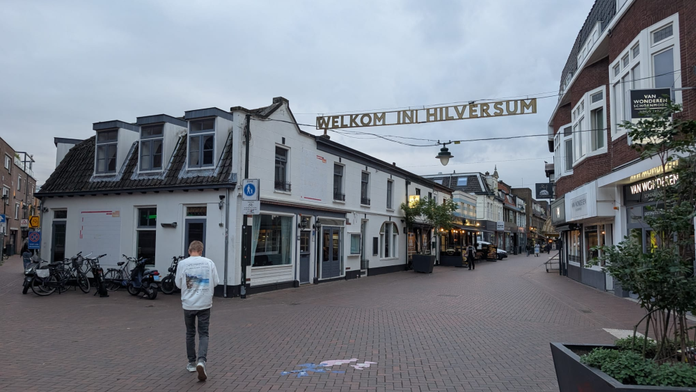 De panden op de leeuwen vanaf het station