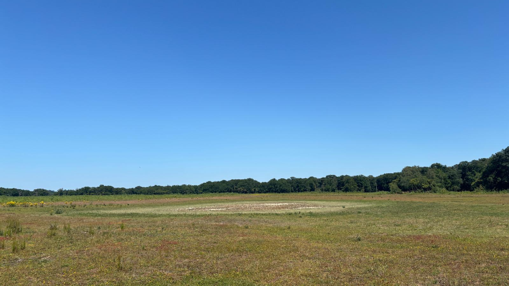 Droog natuurgebied rondom de heide