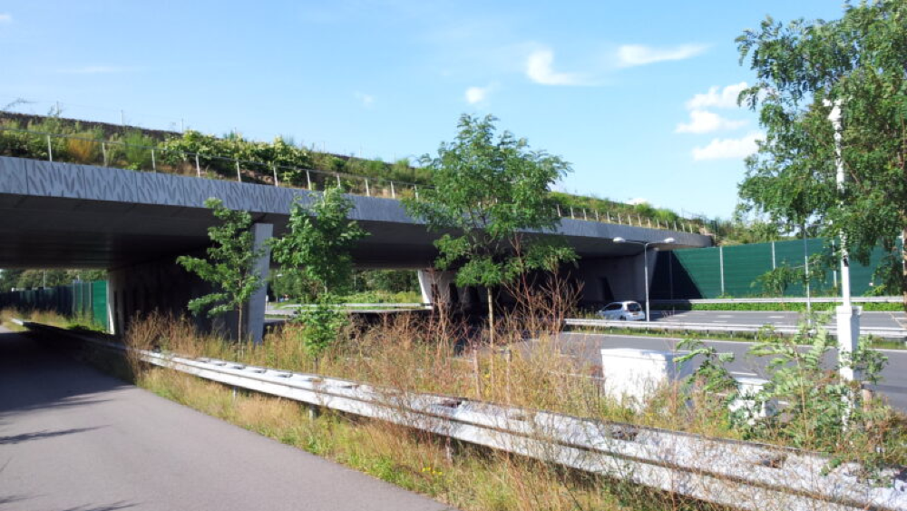 Ecoduct Laarderhoogt