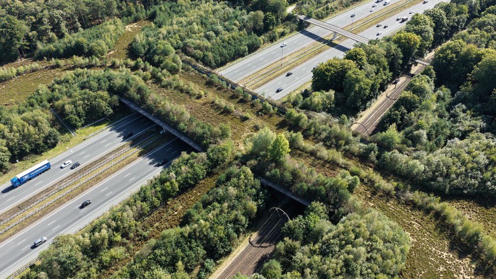 Natuurbrug Zwaluwenberg.