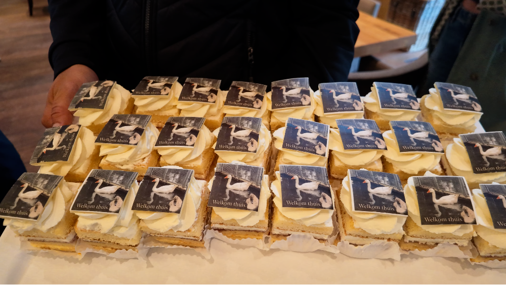 Jansen gebakjes