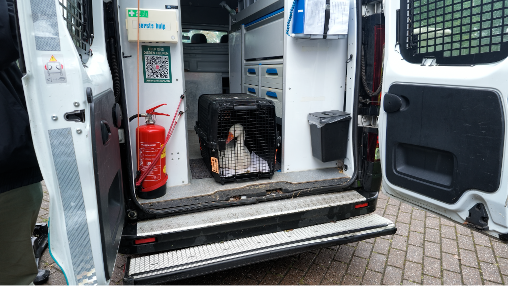 Jansen in de ambulance