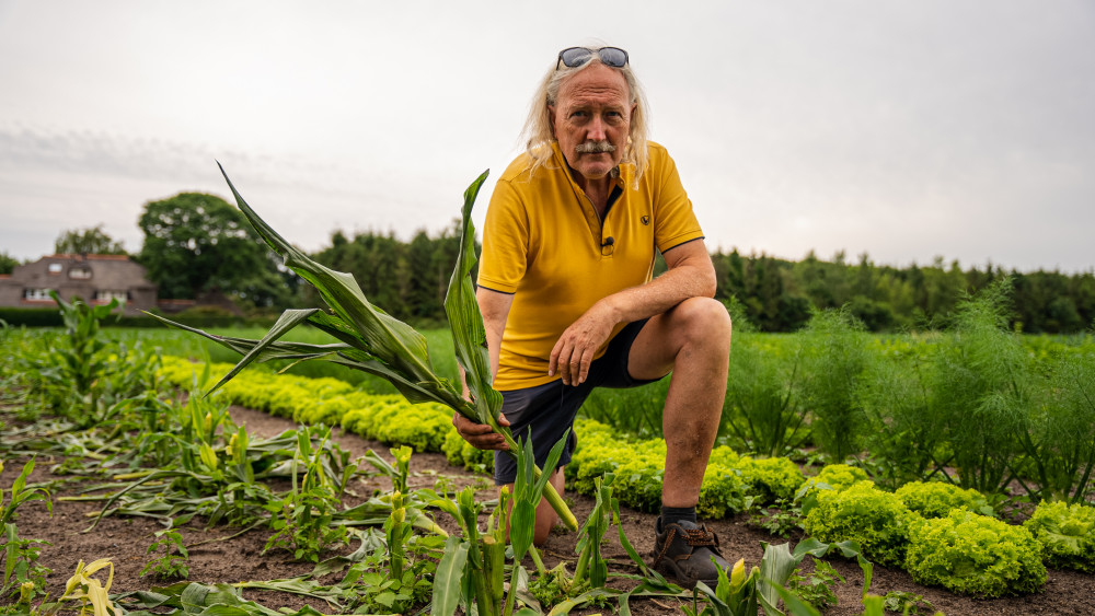 ©NH Nieuws / Mark Arents