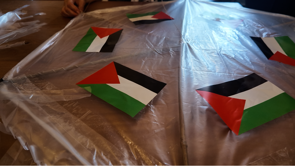 Vliegers voor Gaza