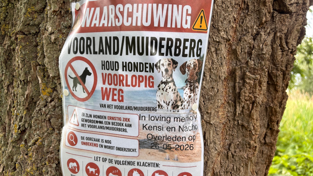 Waarschuwingsposter van Anja